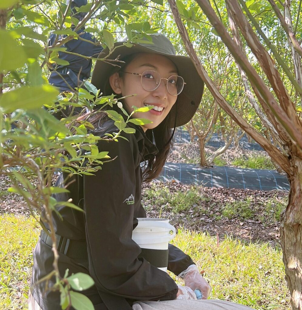 澳洲 科夫港 採藍莓 打工度假 背包客