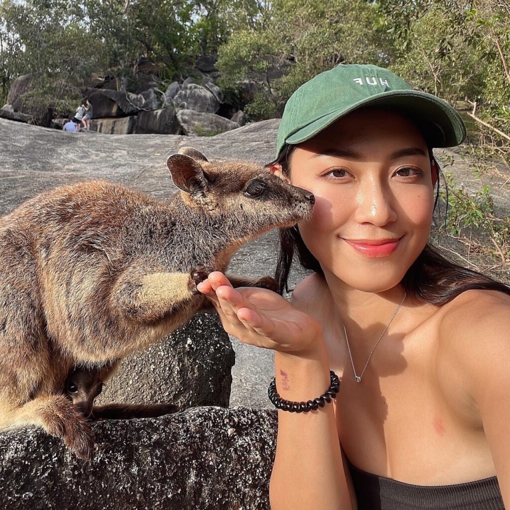 澳洲旅遊 袋鼠 Wallaby