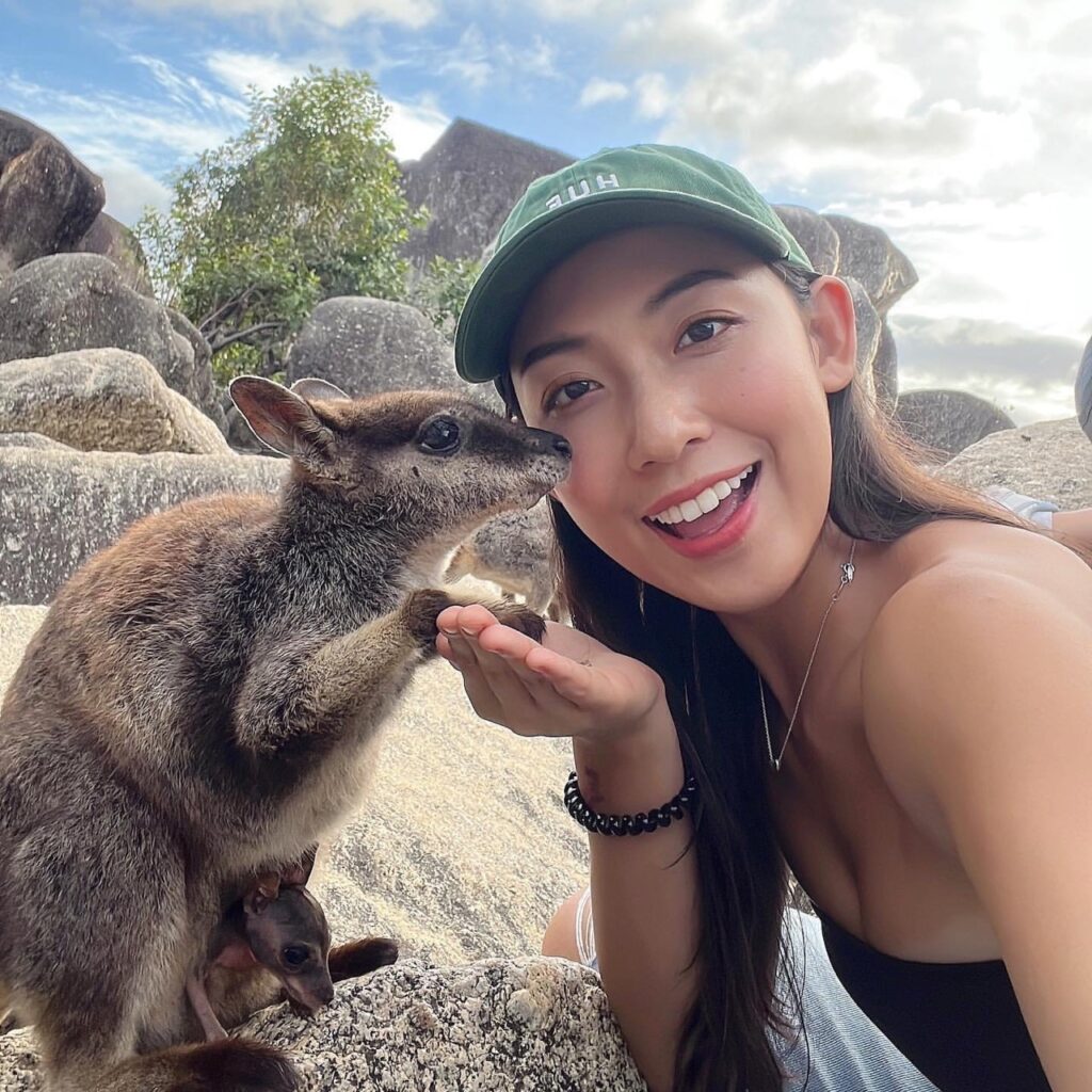 澳洲旅遊 袋鼠 Wallaby