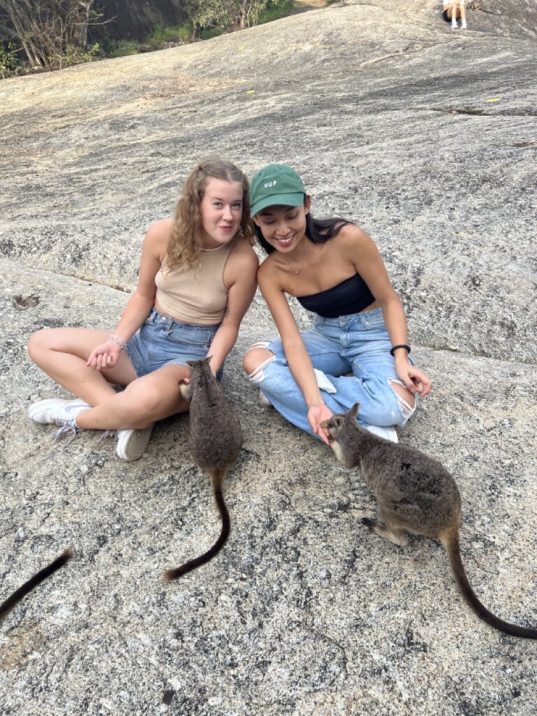 澳洲旅遊 袋鼠 Wallaby