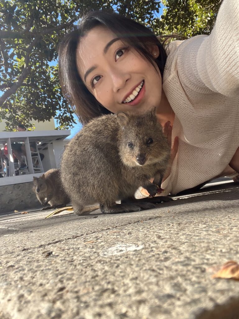 澳洲旅遊 袋鼠 Quokka