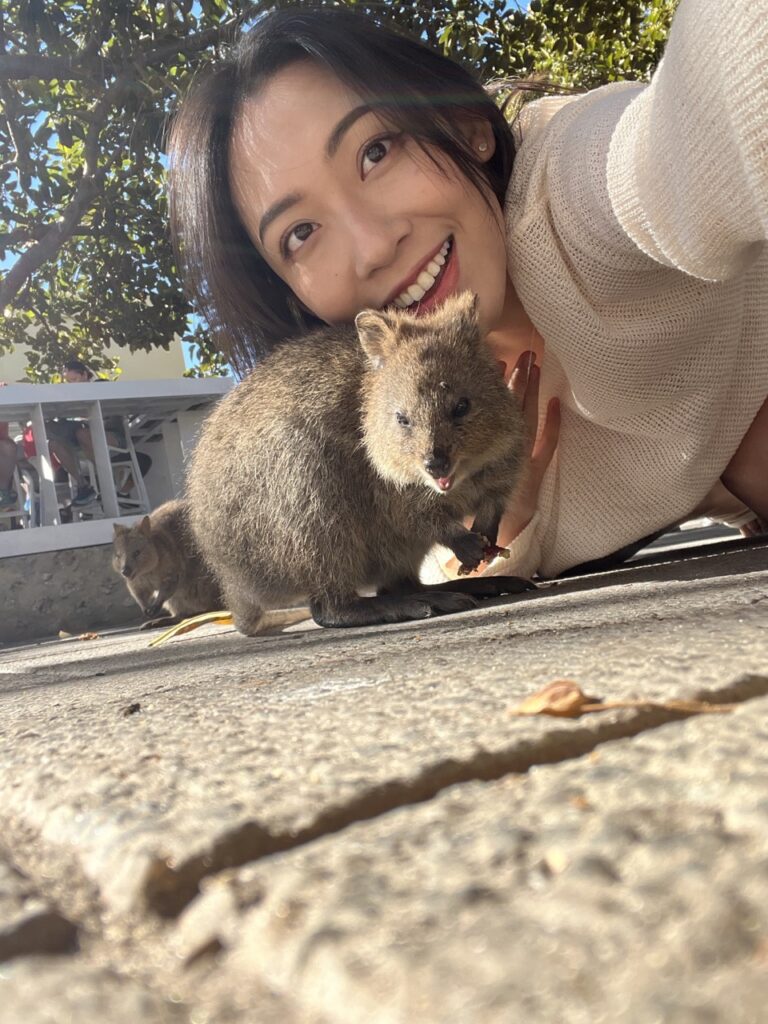 澳洲旅遊 袋鼠 Quokka