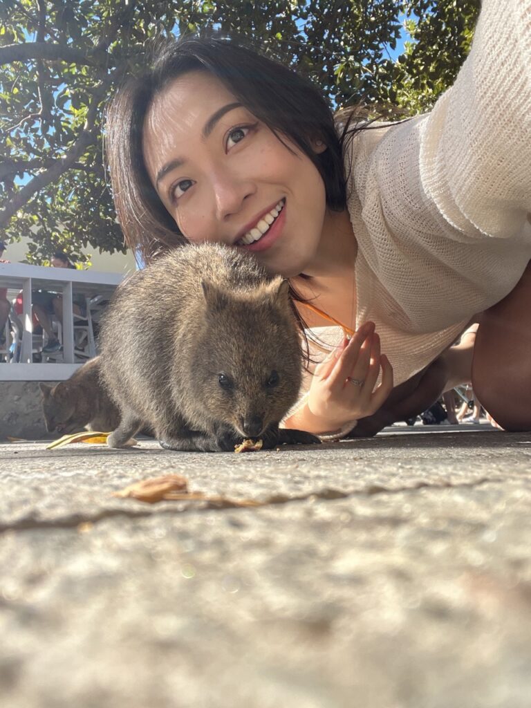 澳洲旅遊 袋鼠 Quokka