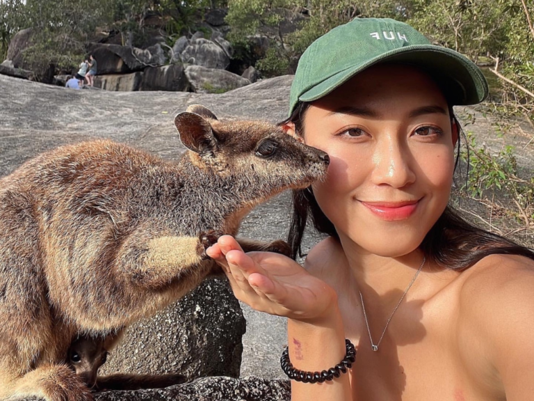 澳洲旅遊 袋鼠 露營