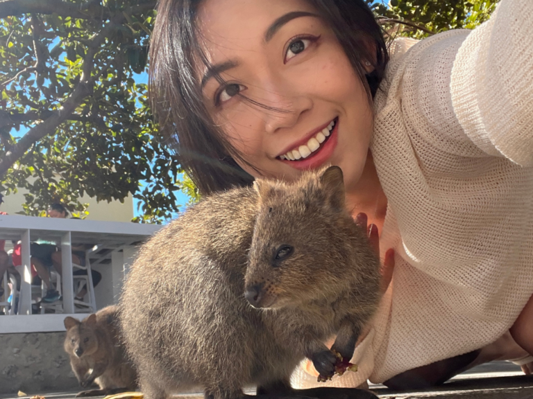 Quokka