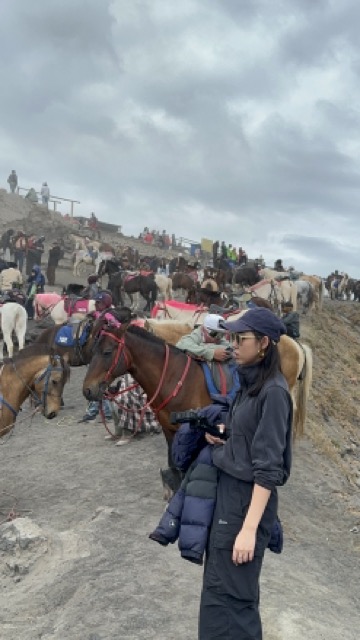 印尼旅遊 Bromo火山